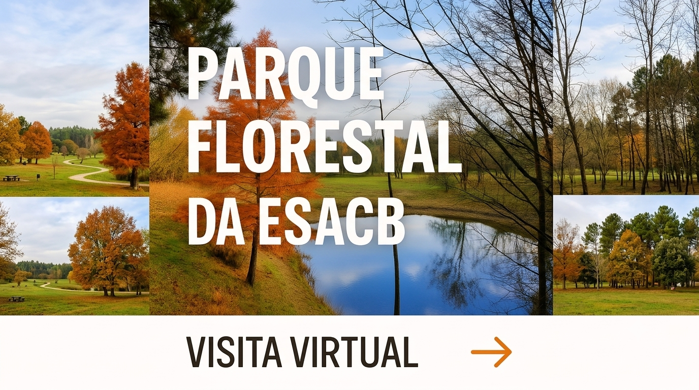 Destaque-2