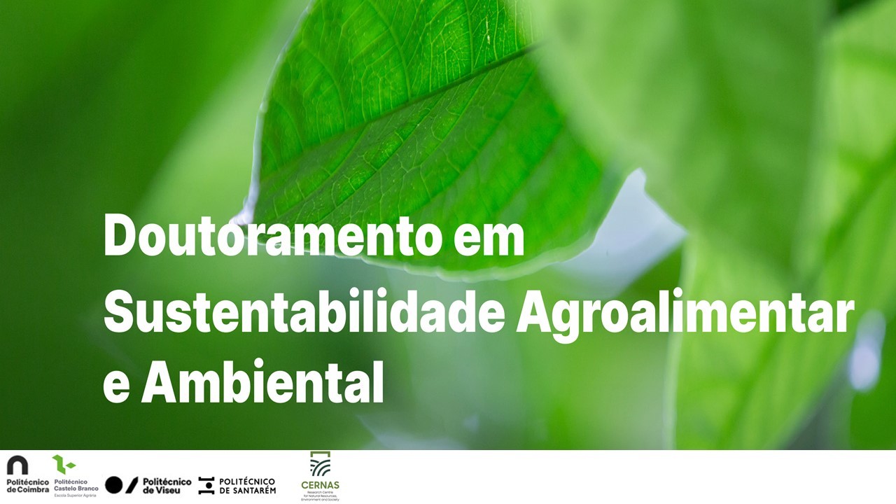 Destaque-2